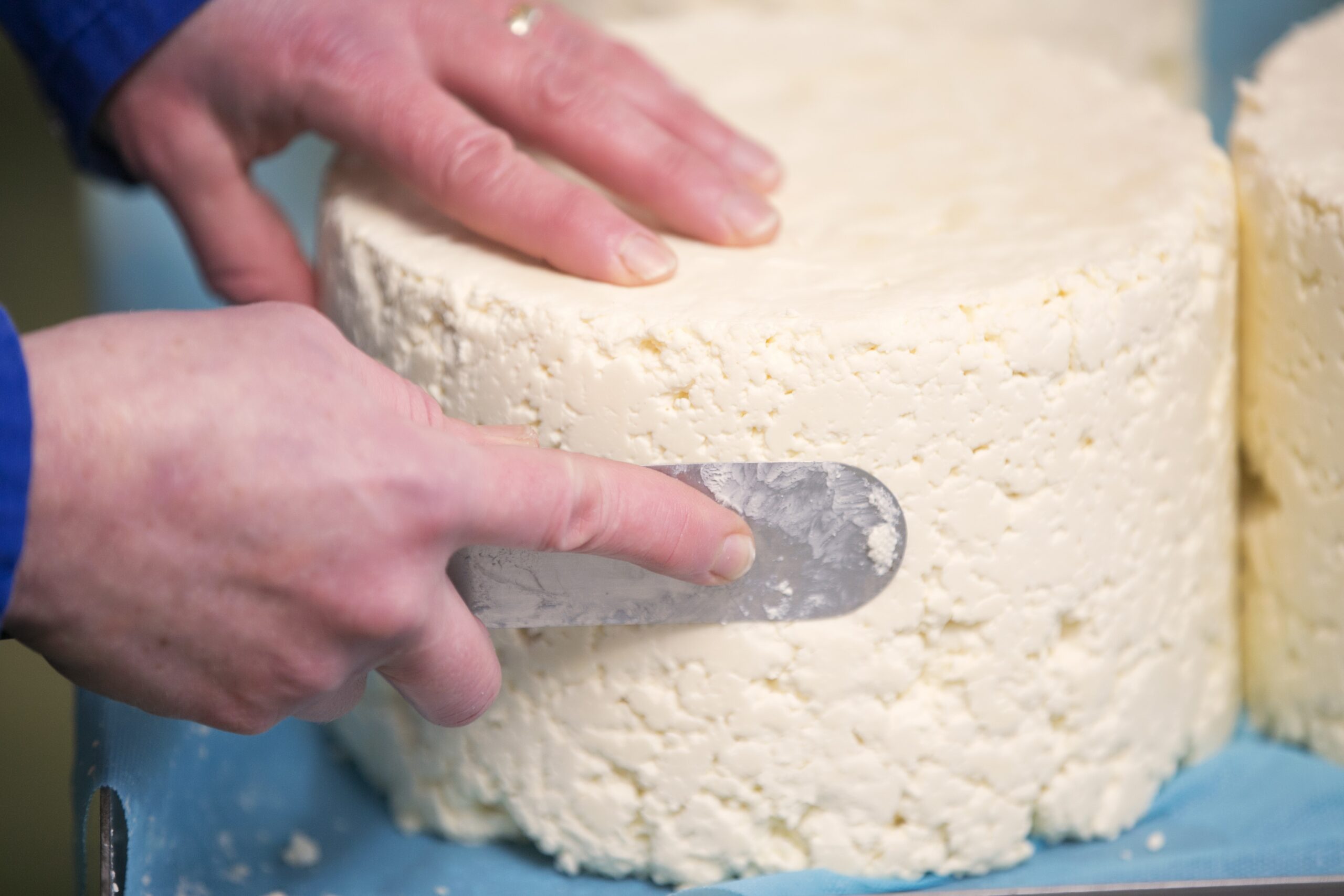 Cheese making workshop at Dart Mountain Cheese, Derry, Northern Ireland