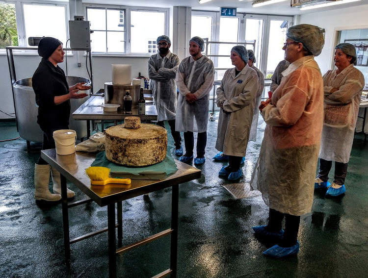 Dart Mountain Cheese Experience