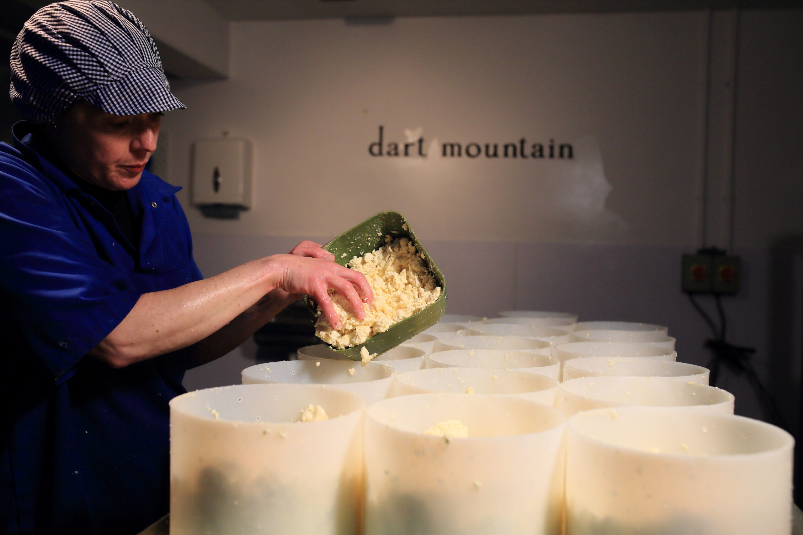 Moulding up the curd into molds to form wheels of Cheese at Dart Mountain Cheese, Ireland