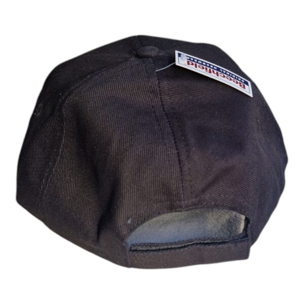 classic-cheese-cap-rear